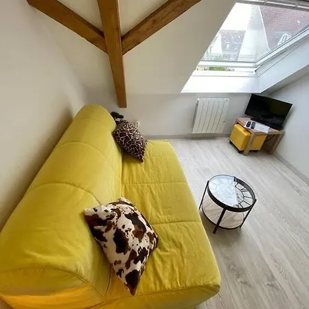 Apartamento Esprit Jaune - Cosy Salengro - Sauna & Sport Club *