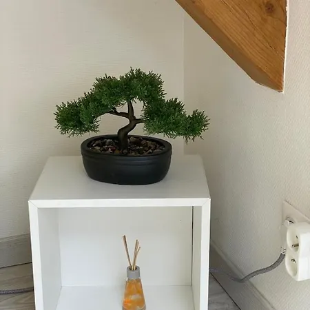 Apartamento Esprit Jaune - Cosy Salengro - Sauna & Sport Club