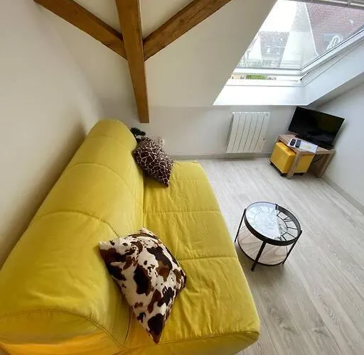 公寓 Esprit Jaune - Cosy Salengro - Sauna & Sport Club *