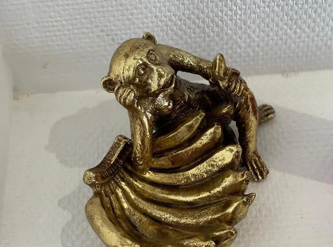 公寓 Esprit Jaune - Cosy Salengro - Sauna & Sport Club *