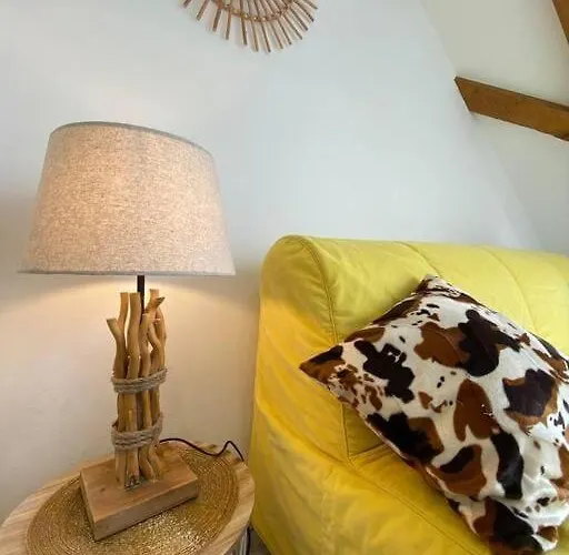 Esprit Jaune - Cosy Salengro - Sauna & Sport Club 公寓 牟罗兹