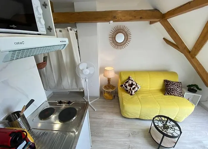 Esprit Jaune - Cosy Salengro - Sauna & Sport Club